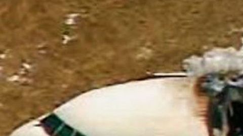 Expertos aseguraron que el avión ya tenía poco combustible y quizá ello contribuyó a que el fuego no haya sido mucho más explosivo.