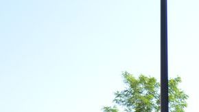 Una cafeteria en el centro de Elgin una tarde del mes de junio.