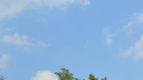 La unidad móvil de TLC o ‘The Life Center’ ofrece sus servicios en el estacionamiento del restaurante JB’s (297 S. McLean Blvd.), en Elgin.