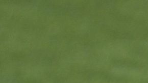 Espera Schuster dirigir un equipo importante de la Bundesliga