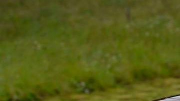 Altima mantiene un alto valor de reventa, además que su rendimiento y comodidad.