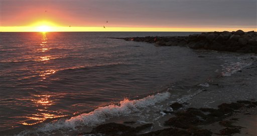 Las playas de Nantucket son conocidas por albergar todo tipo de fauna marina.