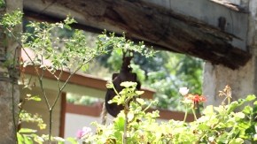 Julián Garza Arredondo en una imagen de archivo.