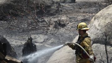 Bomberos de Rancho Cucamonga limpian un área en Pine Springs Ranch tras el paso del incendio por esa zona.