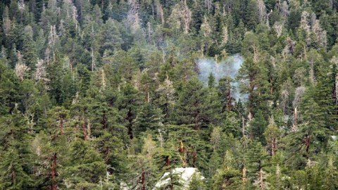El teleférico Palm Springs Aerial Tramway permaneció cerrado y algunos trabajadores preparaban la zona por si el incendio se desplazaba.