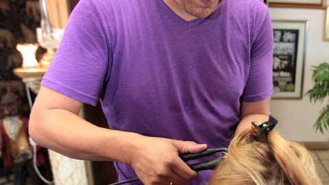 Ralph Rosas  necesita   comprar   seguro médico para cumplir con Obamacare  en el 2014.