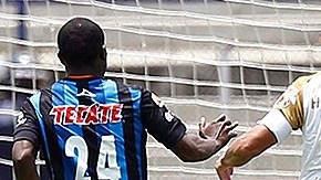 No pudo rugir el felino en su casa.