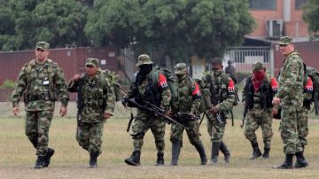 Soldados del Ejército colombiano escoltan a rebeldes del ELN que decidieron rendirse y entregarse en la base militar de Cali.