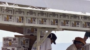 El Sindicato de Trabajadores del Campo (UFW) sostiene que el Estado no hace hace cumplir las leyes que protegen a los campesinos.