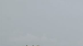 La nueva planta generará inversión y empleos en Mississippi.