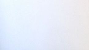 Los melones fueron repartidos entre 224 legisladores, como una forma de protesta.