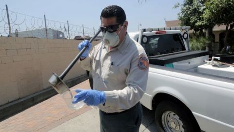 Martín Serrano, inspector de control de plagas, recoge muestras de larvas de mosquitos en el agua estancada junto a una residencia.