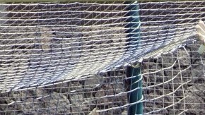 José de Jesús Corona, portero del Cruz Azul, realizó este miércoles su entrenamiento de manera cotidiana