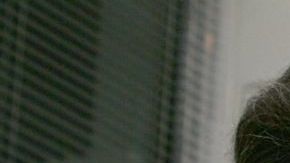 Cuauhtémoc Cárdenas, una de las figuras más respetadas de la izquierda mexicana