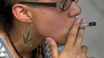 México podría buscar la legalización de la marihuana en el futuro.