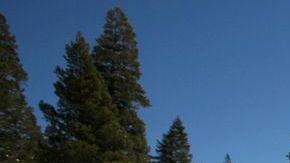 Un riachuelo cubierto de bancos de nieve cerca de Echo Summit, Calif.