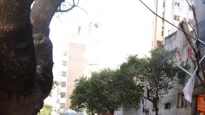 Bomberos a las afueras del edificio de 10 pisos en el que se registró una fuerte explosión en el centro de la ciudad de Rosario.