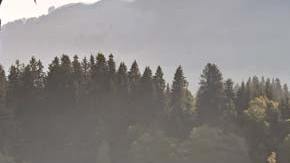 La comodidad de viajar no está peleada con el diseño.