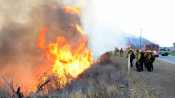 Bomberos del condado de Los Ángeles y del Servicio Forestal combaten un incendio. Las autoridades están en alerta por el aumento de incidentes.