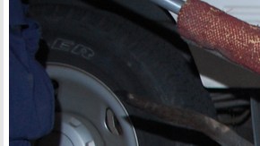 Uno de los perros que participó en el ataque.