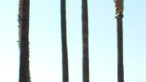 Una personalidad "Transgresora", así define al modelo la firma italiana.