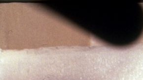 Rafael Caro Quintero en la cárcel.