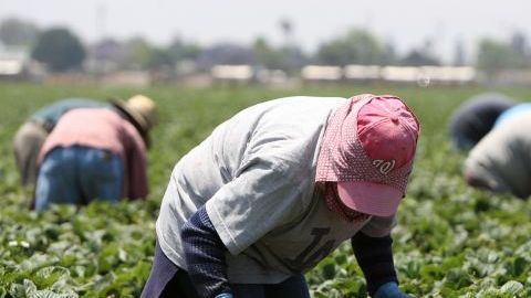 Empleadores retienen parte de salario de trabajadores inmigrantes en Nuevo México.