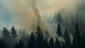 El incendio forestal "Rim" cerca de Stanislaus National Forest, a pocas millas del Parque Nacional de Yosemite.