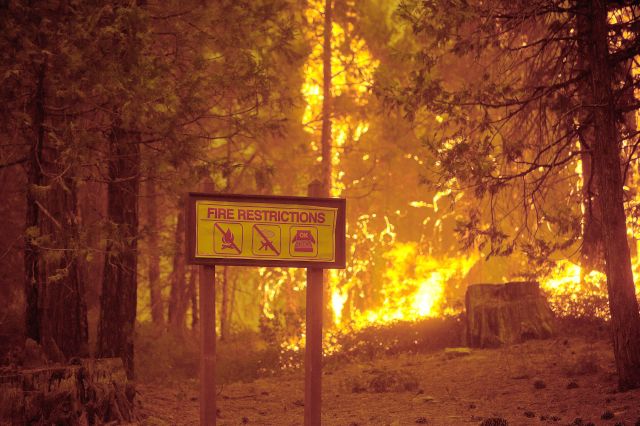 Llamas del incendio forestal cerca del borde del Parque Nacional de Yosemite en el condado de Tuolumne, California.