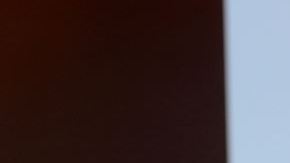 Prince Royce lleva cuatro semanas en la cima del listado Tropical Airplay.