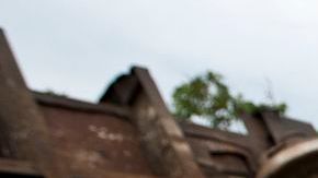 "La Bestia" es el infame tren de carga que utilizan los migrantes centroamericanos como polizones para cruzar suelo mexicano y llegar a Estados Unidos.