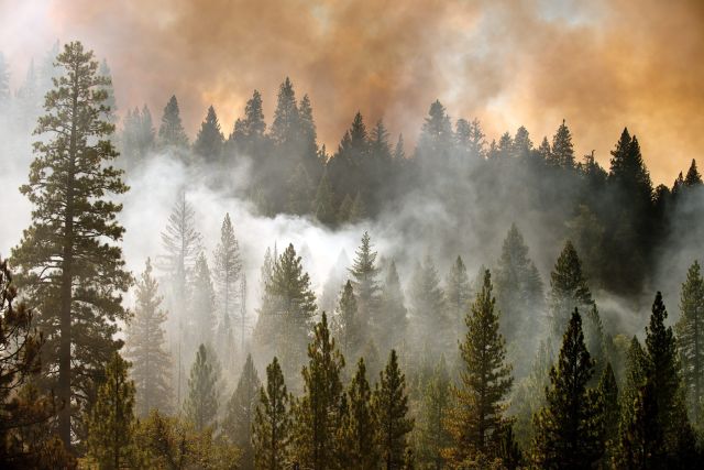 El incendio forestal del norte de California, uno de los más extensos en la historia del estado, ha devastado más de 60 mil hectáreas.