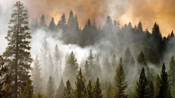 El incendio forestal del norte de California, uno de los más extensos en la historia del estado, ha devastado más de 60 mil hectáreas.