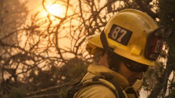 Más de 3,700 bomberos intentan apagar el incendio forestal.