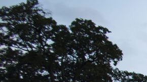 En diversas ciudades de Estados Unidos, como Washington D.C., ciudadanos se han congregado para pedir que no se intervenga militarmente en Siria.