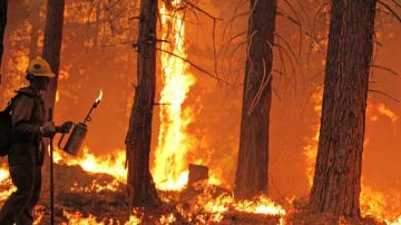 El incendio ya ha consumido unas 90 mil hectáreas.
