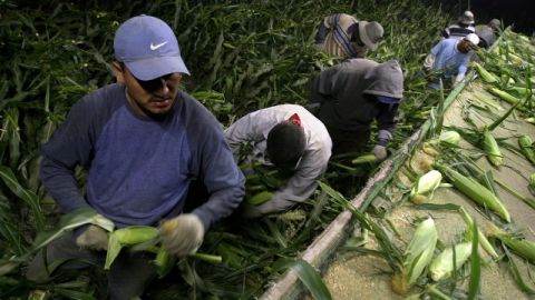 Republicanos en la Cámara dicen que quienes cruzaron la frontera sin autorización legal  no deben ser recompensados.