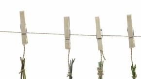 Las hierbas de olor frescas son  un complemento fundamental en la cocina de cualquier temporada.