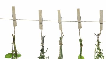 Las hierbas de olor frescas son  un complemento fundamental en la cocina de cualquier temporada.