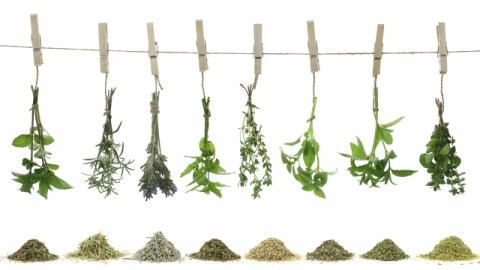 Las hierbas de olor frescas son un complemento fundamental en la cocina de cualquier temporada.
