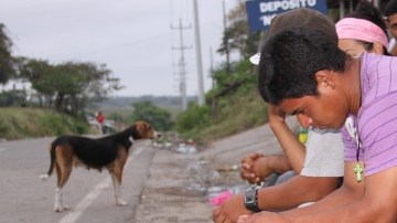 Indocumentados descansan tras caminar varios  kilómetros en suelo mexicano.