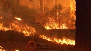 Un bombero se aleja de un cortafuegos creado en el flanco sur del incendio forestal en el borde sur del Parque Yosemite en California.
