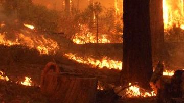 Un bombero se aleja de un cortafuegos creado en el flanco sur del incendio forestal en el borde sur del Parque Yosemite en California.