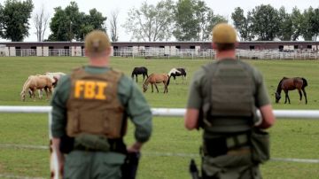 Agentes del FBI vigilan las propiedades  en Oklahoma, de los hermanos Treviño Morales, acusados de narcotráfico y lavado de dinero.