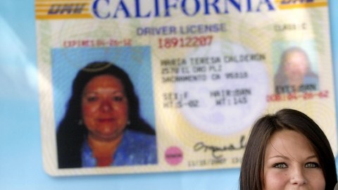 Grupos pro-inmigrantes se oponen a que las licencias para indocumentados tengan una marca que las diferencie.