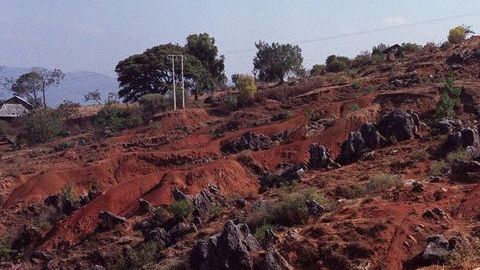 Gobernador de Oaxaca dice que se investigará el asesinato hasta sus últimas consecuencias.