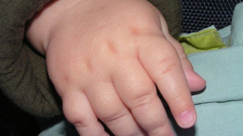 Los funcionarios públicos de México dificultan dar identidad mediante el certificado de nacimiento, a los hijos de migrantes centroamericanos que nacen en su país.