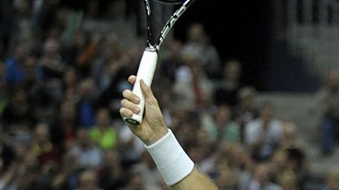 Radek Stepanek se hizo del primer punto de la serie.