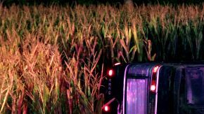 El autobús accidentado pertenece a la línea Greyhound.