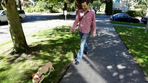 Si incluye el caminar en su rutina, vivirá más y mejor.